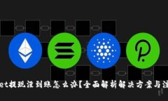 tpWallet提现没到账怎么办？全面解析解决方案与注