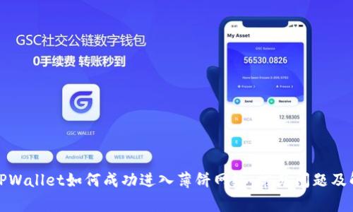 最新版TPWallet如何成功进入薄饼网络：常见问题及解决方案