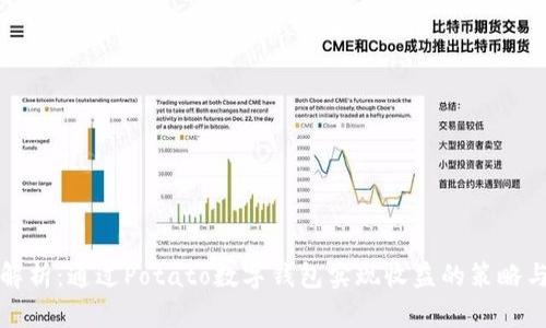 全面解析：通过Potato数字钱包实现收益的策略与实践