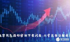 如何解决数字钱包图形密钥下载问题：从常见错