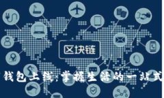 华为全新数字钱包上线：掌握生活的一站式支付