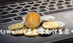 探索中东地区：tpWallet在数字支付生态中的角色与