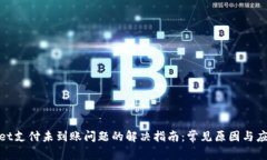 tpWallet支付未到账问题的解决指南：常见原因与应