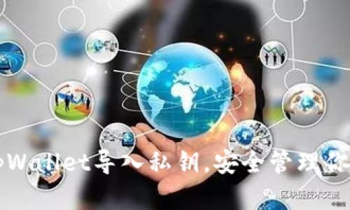 如何通过tpWallet导入私钥，安全管理你的数字资产