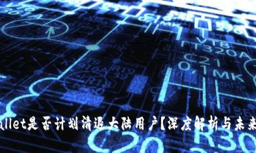 tpWallet是否计划清退大陆用户？深度解析与未来展望
