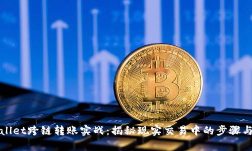 tpWallet跨链转账实战：揭秘现实交易中的步骤与技巧
