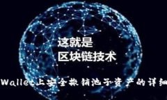 在tpWallet上安全撤销池子资产的详细指南