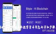 全面揭晓：如何成功获取数字货币钱包的详细步