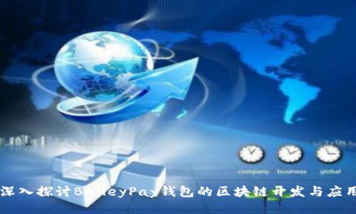 深入探讨BaileyPay钱包的区块链开发与应用