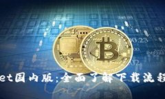 获取tpWallet国内版：全面了解下载流程与使用技巧