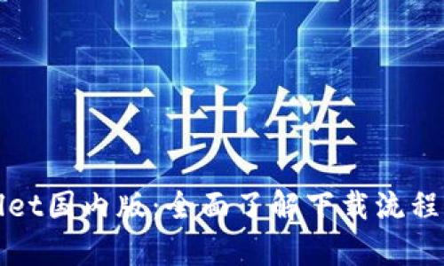 获取tpWallet国内版：全面了解下载流程与使用技巧