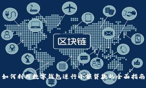 如何利用数字钱包进行小额贷款的全面指南