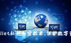 掌握tpWallet私钥加密技术，保护数字资产的安全
