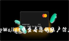如何在tpWallet中查看您的账户信息与余额