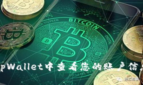 如何在tpWallet中查看您的账户信息与余额