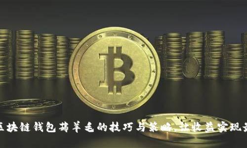 揭秘区块链钱包薅羊毛的技巧与策略，让收益实现最大化