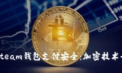 如何保护你的Steam钱包支付安全：加密技术全解及