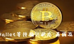 了解tpWallet等待确认状态：原因及解决方案