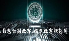 如何通过钱包识别数字：揭示数字钱包背后的世