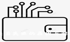 tpWallet交易失败的原因与解决方案解析