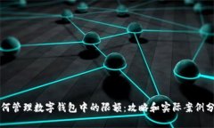 如何管理数字钱包中的限额：攻略和实际案例分