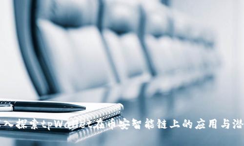 深入探索tpWallet在币安智能链上的应用与潜力