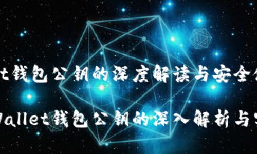 tpWallet钱包公钥的深度解读与安全使用技巧

关于tpWallet钱包公钥的深入解析与实用指南