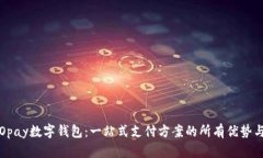 全面了解Opay数字钱包：一站式支付方案的所有优