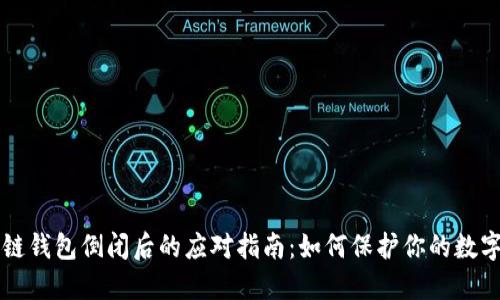 区块链钱包倒闭后的应对指南：如何保护你的数字资产