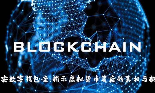 南安数字钱包案：揭示虚拟货币背后的真相与挑战
