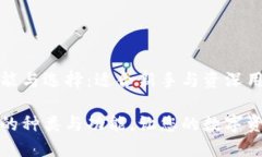 加密钱包的功能与选择：适合新手与资深用户的