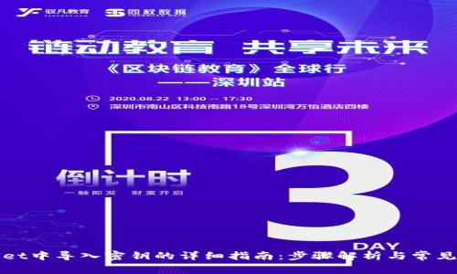 在tpWallet中导入密钥的详细指南：步骤解析与常见问题解答