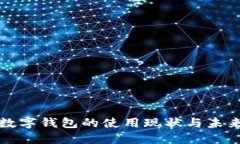 新疆地区数字钱包的使用现状与未来发展趋势