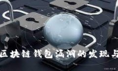 深入探讨区块链钱包漏洞的发现与解决策略
