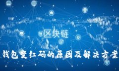数字钱包变红码的原因及解决方案详解