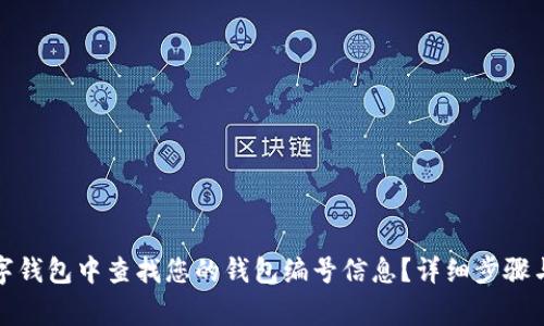 如何在数字钱包中查找您的钱包编号信息？详细步骤与注意事项