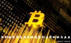 探索深圳数字钱包在本地商家的应用现状与未来