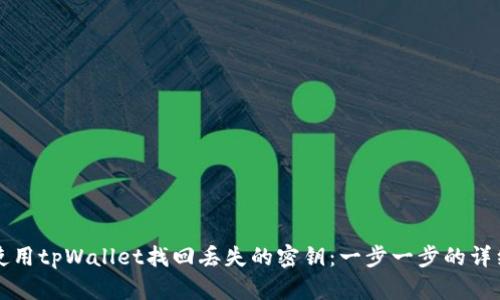 如何使用tpWallet找回丢失的密钥：一步一步的详细指导