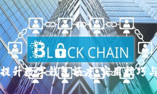如何有效提升数字钱包额度：实用技巧与经验分享