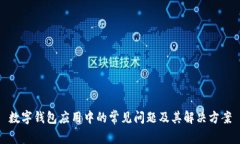 数字钱包应用中的常见问题及其解决方案