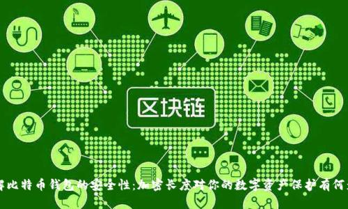 了解比特币钱包的安全性：加密长度对你的数字资产保护有何影响
