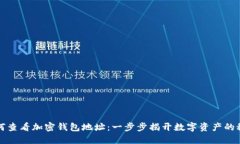 如何查看加密钱包地址：一步步揭开数字资产的