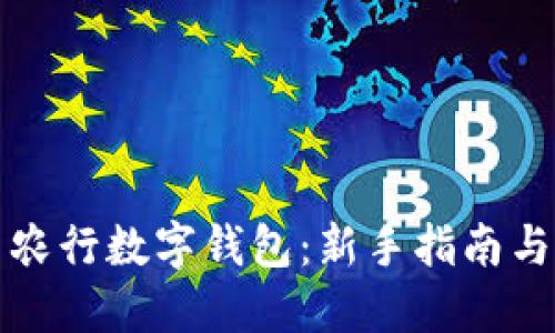 如何使用农行数字钱包：新手指南与实用技巧